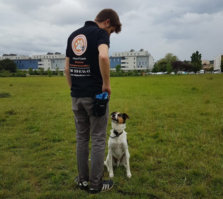 Objectif-Cani-éducateur-canin