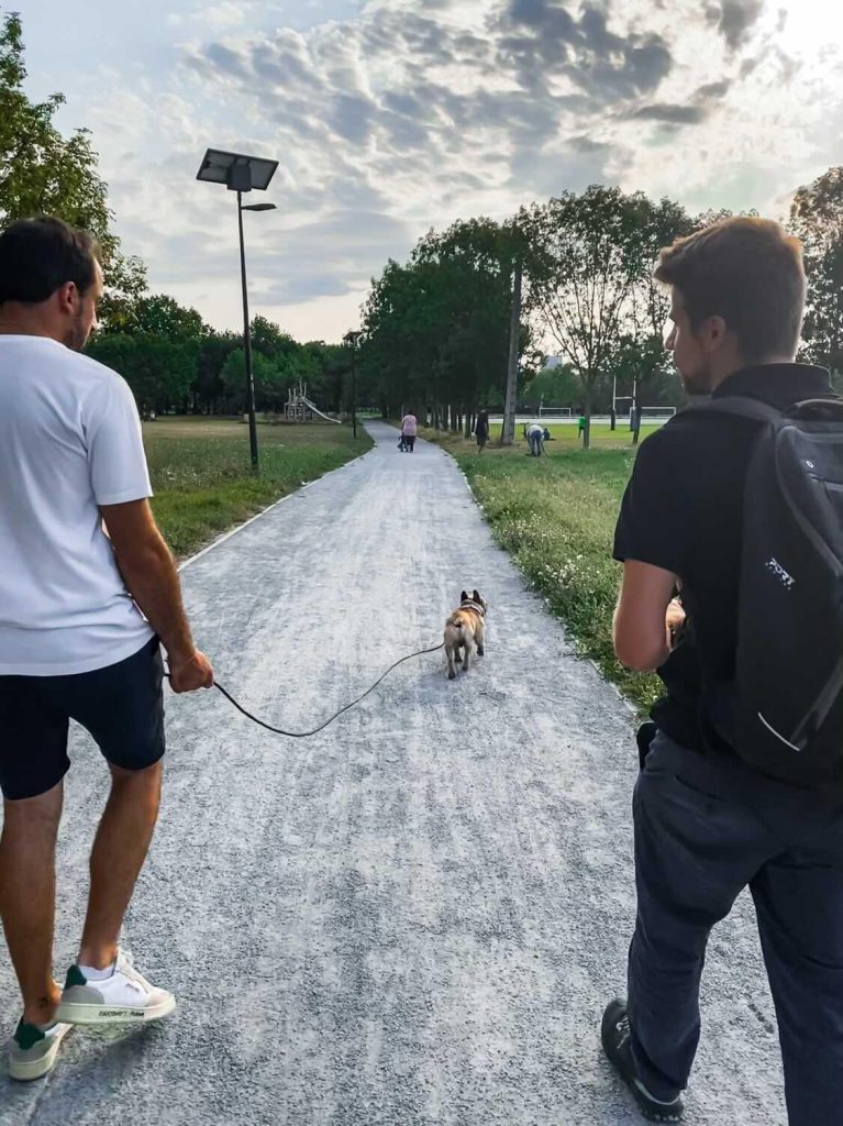 Cours éducation canine