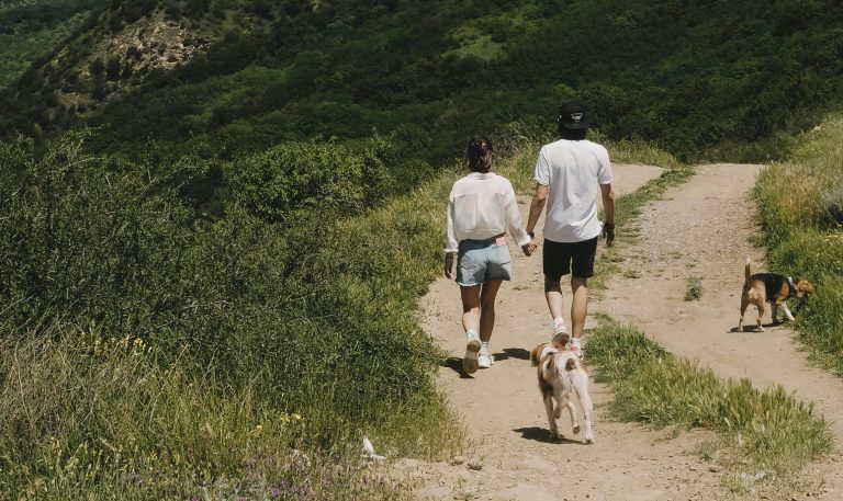 Lire la suite à propos de l’article Les 6 ORDRES pour se balader PARTOUT avec son chien